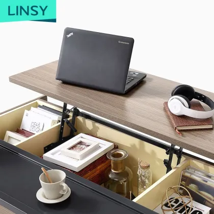 Linsy Nordic Multifunction Living Room Furniture
