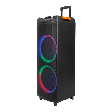 Portable Double 12 Inch Wooden Trolley Speaker with Microphone - Wireless Connectivity