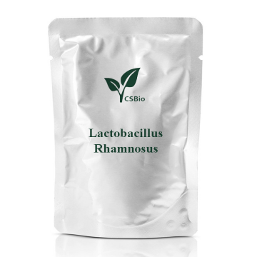 Probiotics Powder of Lactobacillus Rhamnosus