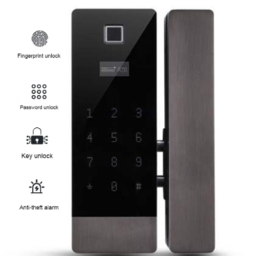 Keyless Smart Lock 3-in-1 mit Kamera