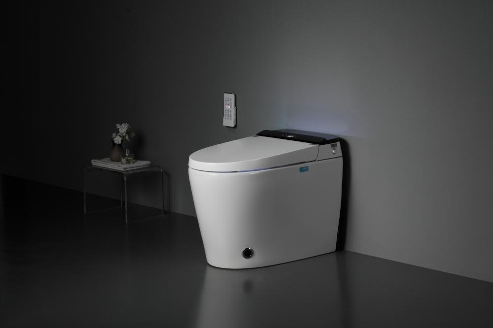 8305a 20smart Toilet