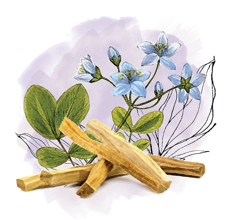 pure natural Guaiac essential oil