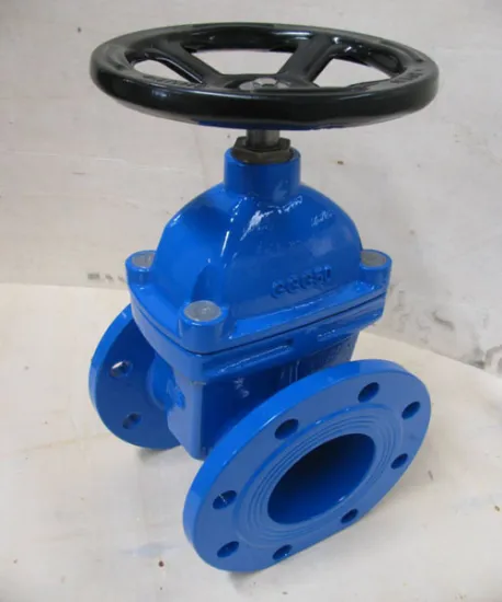 OEM custom High-quality titanium gate valve DN80 DN100