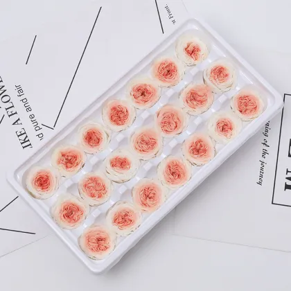 Yuntu Wholesale: Custom Preserved Flowers & Austin Rose Buds