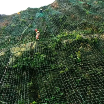 Factory-Direct 19mm HDPE PE Plastic Garden Trellis Net Custom Cutting Service