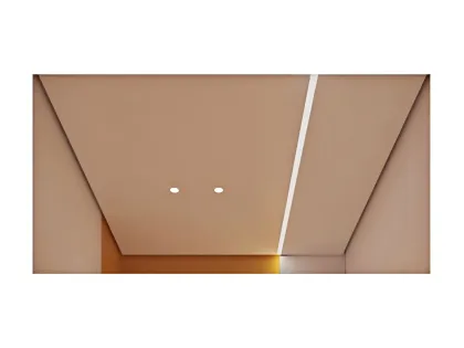 Household ladder elevator ceiling