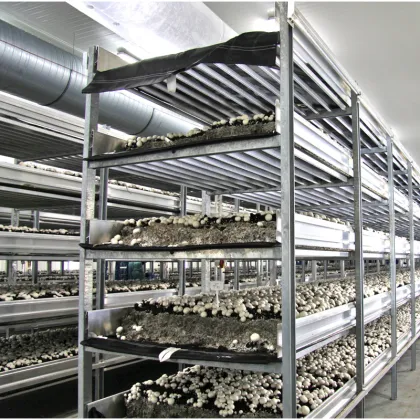 IP67 T8 Mushroom House Lighting