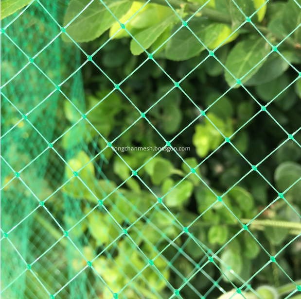 Plastic Square Anti Bird Netting