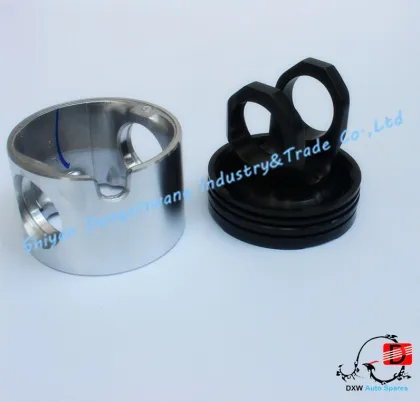 D-max piston D5600621133