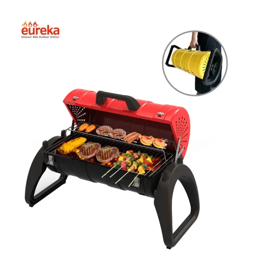 Portable Propane Charcoal Barbecue Grill Bbq Outdoor