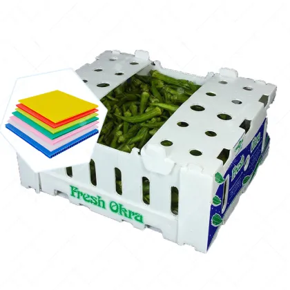 Multiple Printing 4kg PP Coroplast Plastic Okra Box