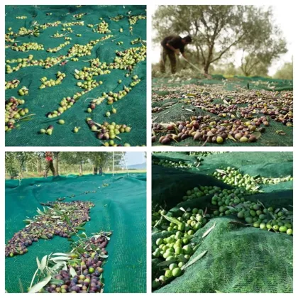 HDPE Green Olive Picking Harvest Netting