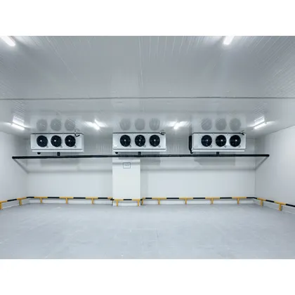 Moon Cold Storage: Walk-in Freezer Rooms and Chiller Solutions