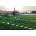 العشب الاصطناعي لكرة القدم الرياضية العشب الاصطناعي