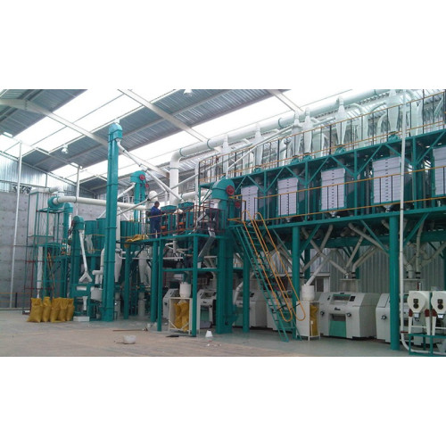 100 Tons per day wheat flour mill machine