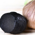 Peeled Solo Black Garlic With FDA Certificate