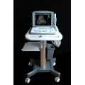 Laptop Ultrasound Machine Portable Black And White Ultrasound Scanner for Obstetrics Manufactory