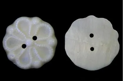 Different Types Of flower shell button