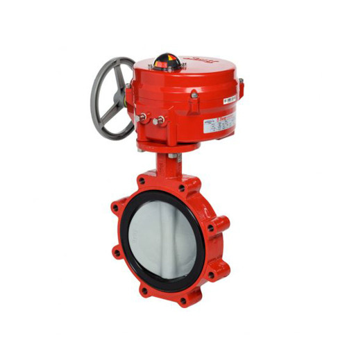 Cast Iron Ansi Butterfly Valve