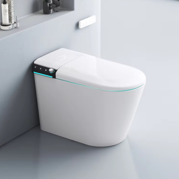 WC Intelligent Smart Toilet with Tank