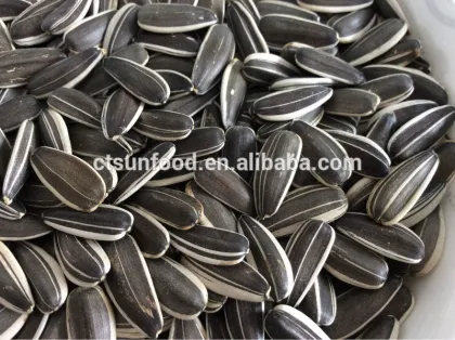 wholesale sunflower seeds export sunflower seeds agriculture seed company