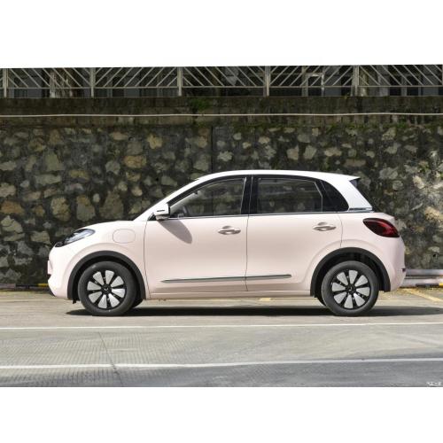 Wuling Binguo Passenger Car