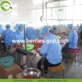 Approvisionnement d&#39;usine Fruits Nutrition Nouvelle arrivée Goji Berry