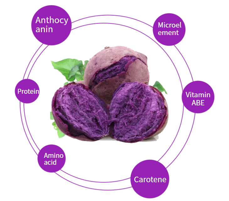 Purple Potato Powder 2