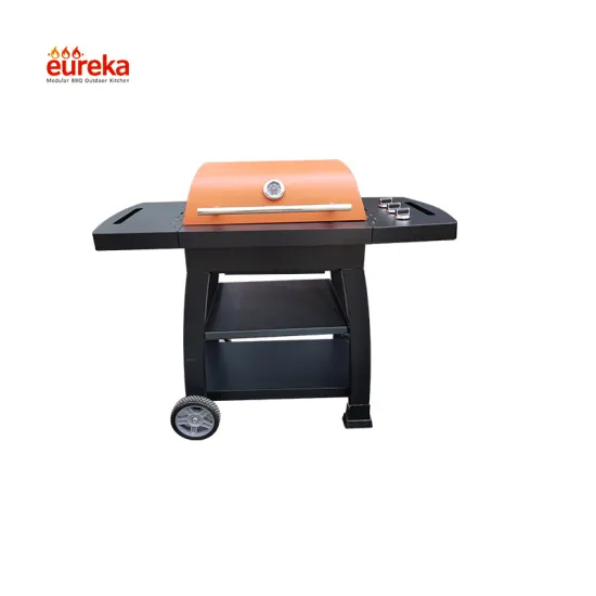Outdoor Stainless Steel Kitchen Barbeque Gas Portable BBQ Grill