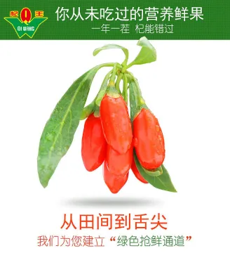 Goji Berry with high Goji Berries Nutrition
