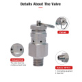 NPT 1/4 Inch Safety Exhaust valve