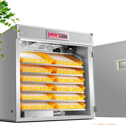 10000 Eggs Big Safe and Efficient Egg Incubator