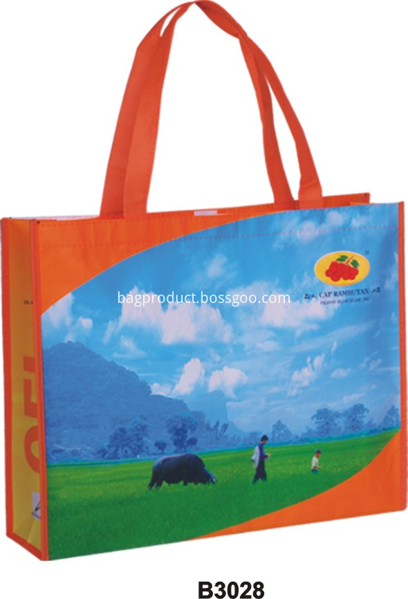 Promotional Laminated PP Non-woven Bag
