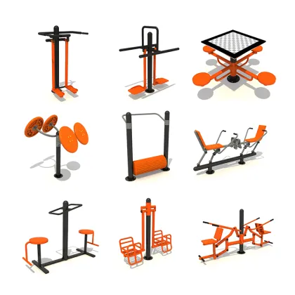 Stainless Steel Outdoor Gym Equipment: Limit Double Walker Fitness Gear