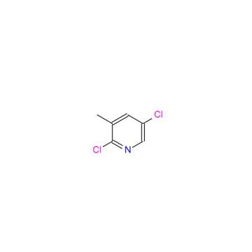 2,5-Dichlor-3-Methylpyridin-pharmazeutische Zwischenprodukte