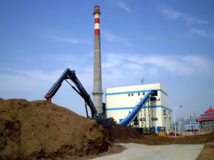 75 T/H Water-Cooling Vibrating Grate Boiler