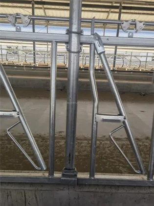 Hot Sell Cow Headlock Auto Release Cattle Stall Gate for Dairy and Beef Farms