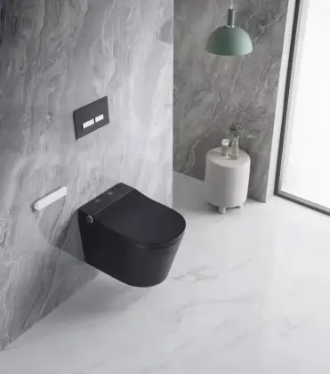 smart wall hung toilet