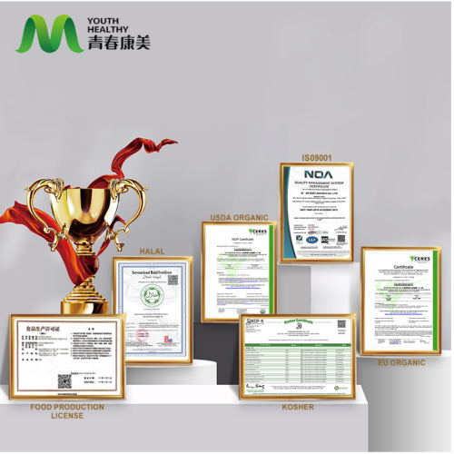 Zdravlje instant jogurta u prahu