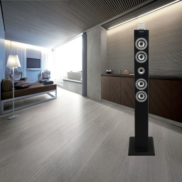 Professional wireless musicchinese active speaker