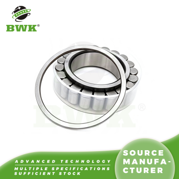 Full Complement Cylindrical Roller Bearing No Cage