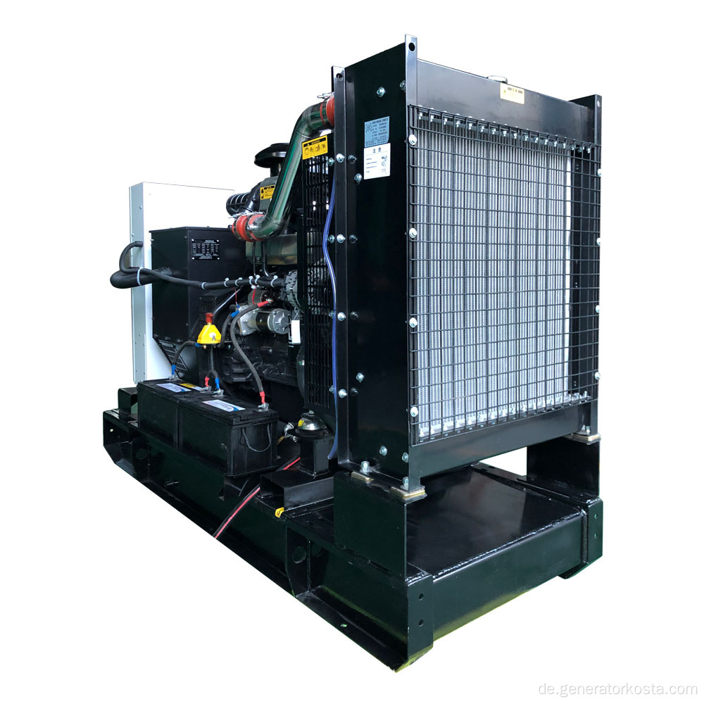 10kVA Dieselgenerator mit SDEC -Motor
