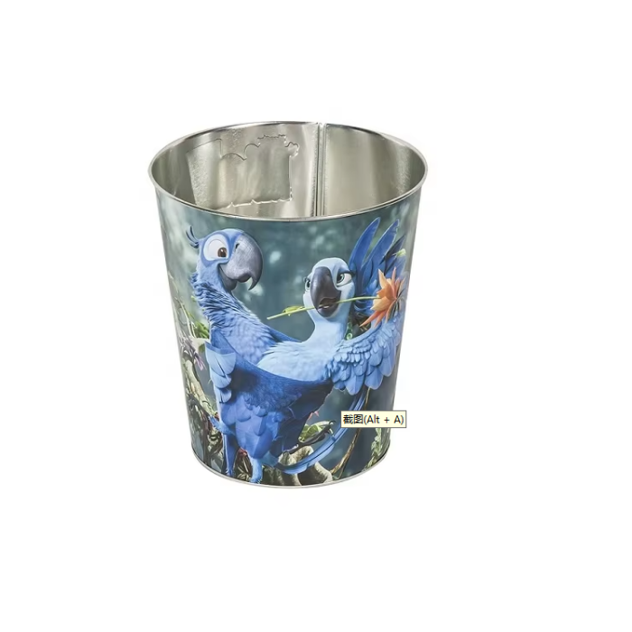 DADI 1 Gallon Popcorn Bucket with Cartoon Design