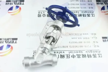 High pressure butt weld type globe Valve