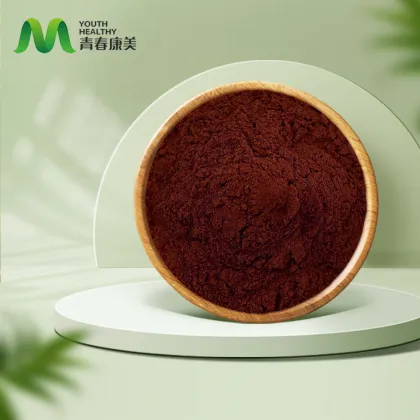 Grape Seed Extract Powder