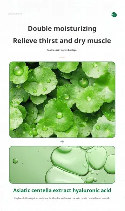 Hunmai Centella Asiatica Intensive Hydrating Face Mask
