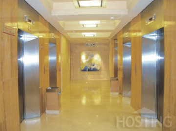 Commercial Building Elevator / Lift with Small Machine Room