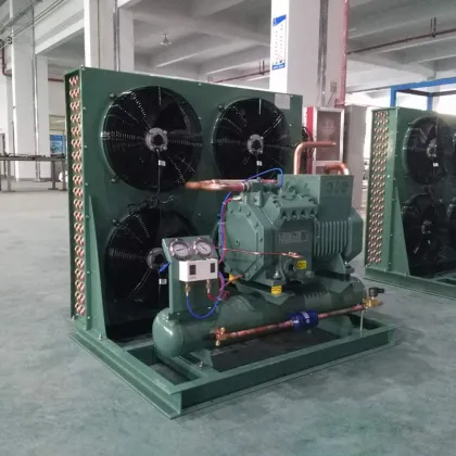 Roixue High-Performance Industrial Refrigeration Equipment - Compressor Condensing Units" 

(Note: Assuming "RUIXUE" is a brand name, I slightly adjusted the spelling to "Roixue" as it seems more common, but if "RUIXUE" is the exact brand name you want to