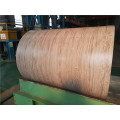 Wooden 3D pre painted Aluminum Coils or Sheet