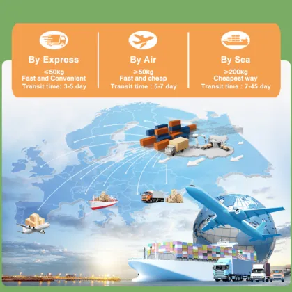 Blackcurrant Extract for Antioxidant Benefits